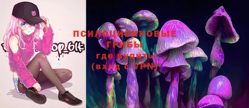 Псилоцибиновые грибы Cubensis  Данков 